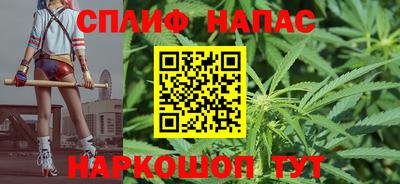 индика Рузаевка