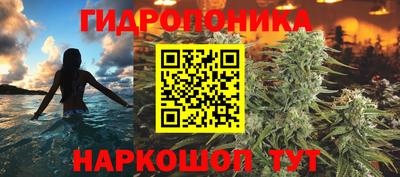 индика Рузаевка