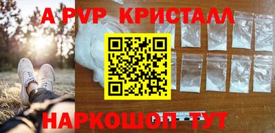 индика Рузаевка