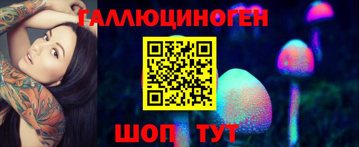 Приморско-Ахтарск  Псилоцибиновые грибы Cubensis  Вход с VPN 